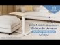 รีวิวโต๊ะปรับระดับ โต๊ะข้างเตียง Mountain รุ่น ERGO401/WhiteBeech ดีไซน์มินิมอลที่เข้ากับทุกพื้นที่